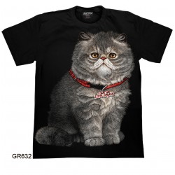 T-Shirt GR632 – Rock Chang...